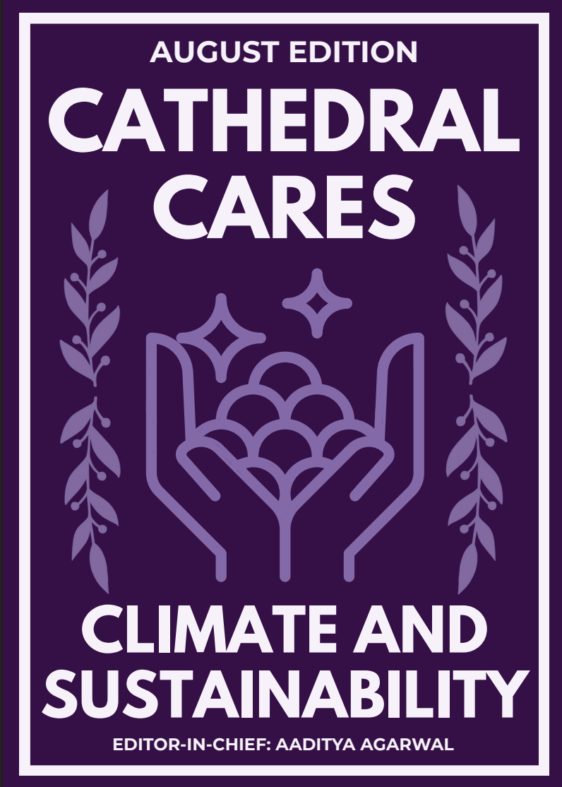 Cathedral Cares August